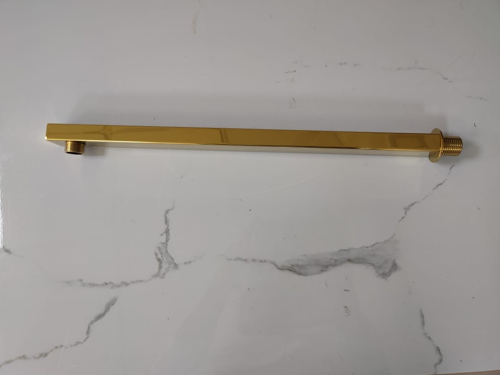 SHOWER ROD & HOSE GOLDEN